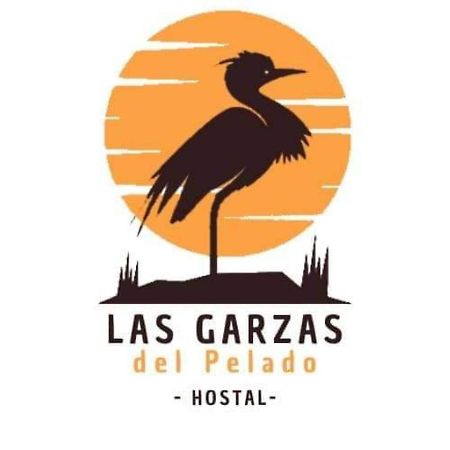 Hostal Las Garzas Del Pelado Playas Dış mekan fotoğraf