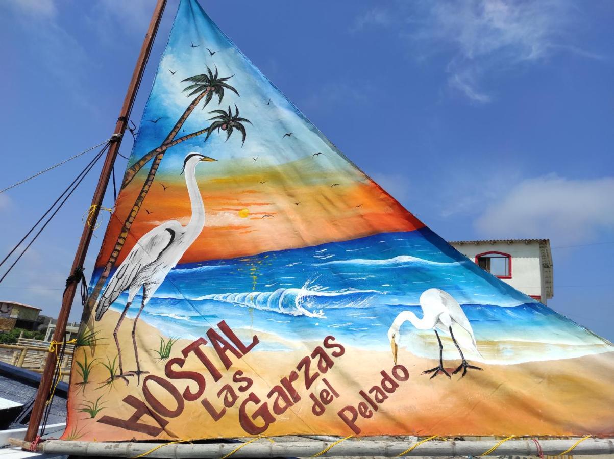 Hostal Las Garzas Del Pelado Playas Dış mekan fotoğraf